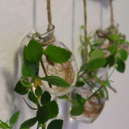 Fewo-kleinschwabhausen Kleinschwabhausen