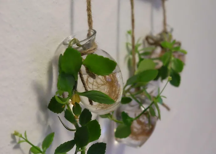 Fewo-kleinschwabhausen Kleinschwabhausen